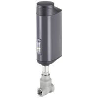 Globe Valves